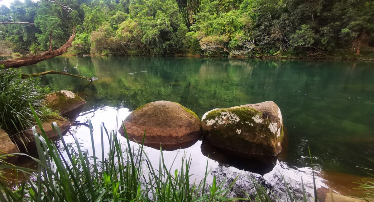 Alt Text: Golden Hole